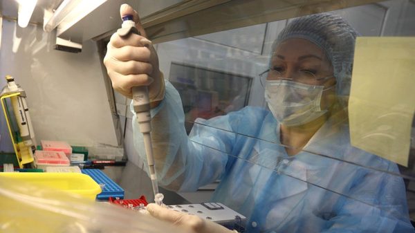 WHO lên tiếng trấn an sau ca tử vong nghi vì bệnh dịch hạch ở Nga