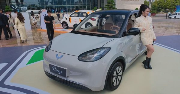 Wuling ‘tìm đường’ tới xe dịch vụ