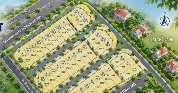 Xã Đan Phượng chuẩn bị đấu giá 36 thửa đất ở