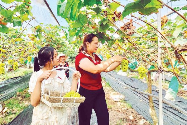 Xã Tiên Tiến hướng tới đô thị văn minh
