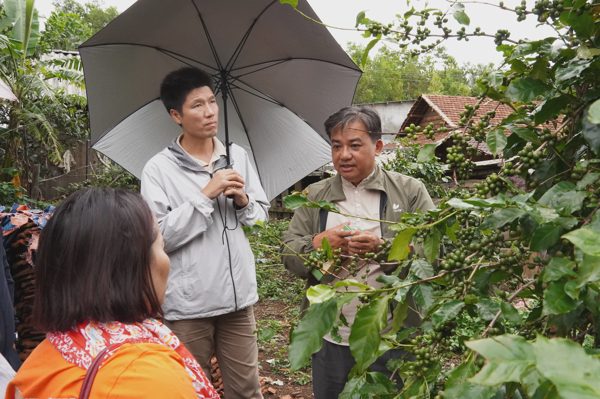 Xã vùng cao mời chuyên gia về hiến kế để khai thác “kho báu” giữa đại ngàn