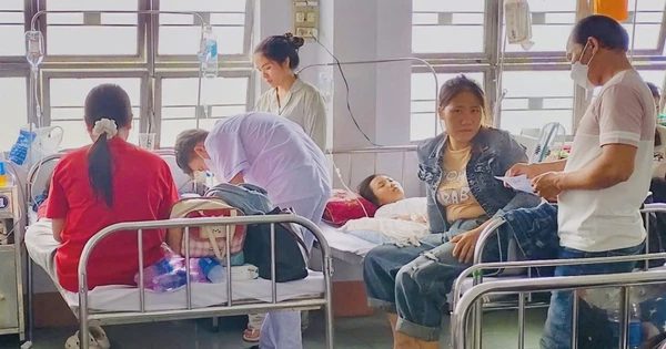 Xác định nguyên nhân vụ 254 người ngộ độc sau ăn bánh mì ở Gia Lai