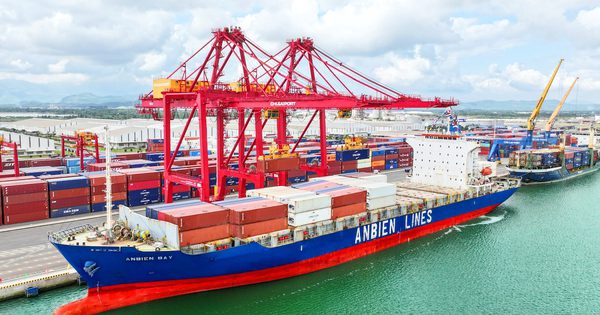 Xây dựng các 'sếu đầu đàn' Việt Nam vươn tầm quốc tế