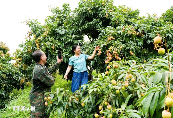 Xây dựng niềm tin trong hành trình số hóa thị trường nông sản