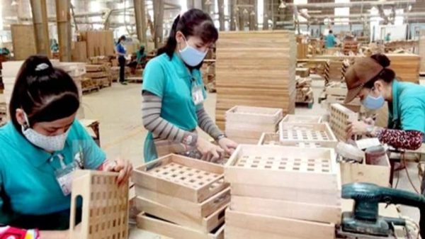Xây dựng thị trường gỗ nội địa hợp pháp, chất lượng và bền vững