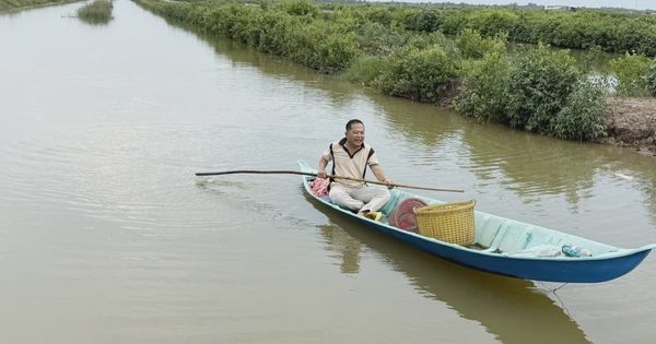 Xây dựng thương hiệu tôm sạch từ mô hình hợp tác xã