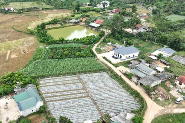 Xây nhà trên đất nông nghiệp 28 năm, nay xin chuyển sang đất ở có bị xử phạt?