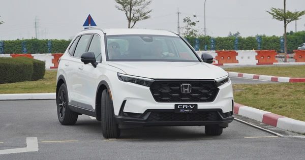 Xe hybrid có tạo được cú hích giữa thời xăng tăng giá?