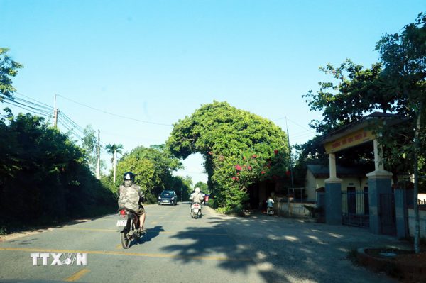 Xe né trạm thu phí BOT, nhiều tuyến đường dân sinh chịu áp lực giao thông