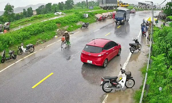 Xe tải húc ngã người phụ nữ dắt xe sang đường - ai sai?