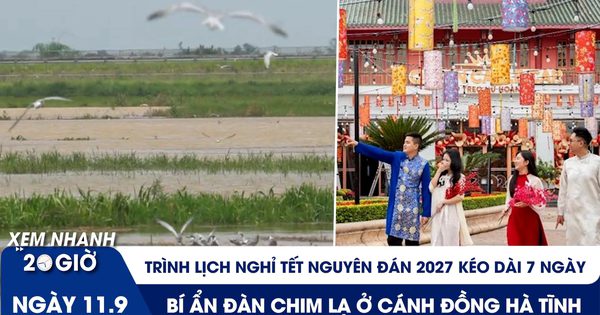 Xem nhanh 20h ngày 11.9: Trình lịch nghỉ Tết Nguyên đán 2027 | Bí ẩn đàn chim lạ ở cánh đồng Hà Tĩnh