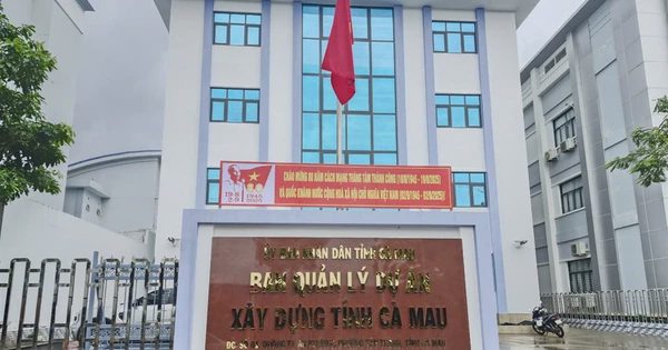 Xét nghỉ theo Nghị định 178, Cà Mau có 2 ban bỏ sót đánh giá tổng thể