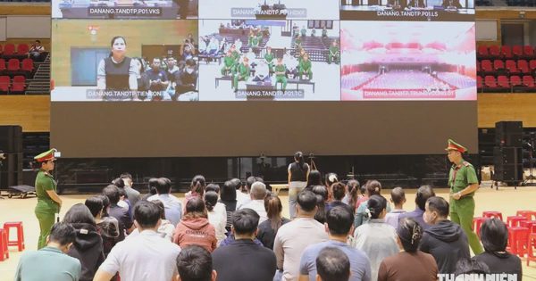 Xét xử vụ GFDI: Bị hại khốn khổ vì vay tiền, rủ người thân góp vốn mất tiền tỉ