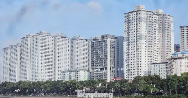 Xử lý 18 000 căn hộ sai quy hoạch tại 12 dự án ông Lê Thanh Thản: 'Không phải hợp thức vi phạm'