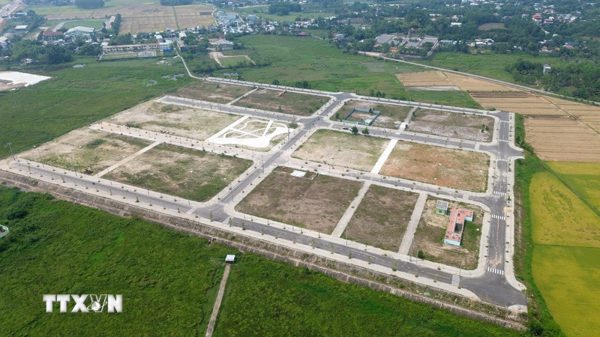 Xử lý thủ tục đất đai: Đề nghị rà soát kỹ, không để “cò” làm nhanh hơn người dân