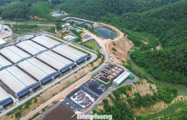 Xử phạt trang trại nuôi gần 80.000 con lợn