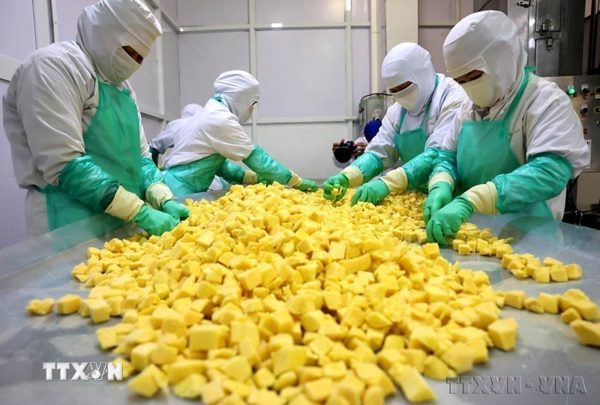 Xuất khẩu nông sản của Việt Nam đạt 25,66 tỷ USD trong 8 tháng qua