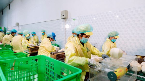 Xuất khẩu rau quả hướng tới mục tiêu 10 tỷ USD