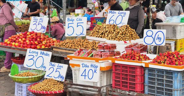 Xuất khẩu tăng tốc, vì sao giá rau quả giảm mạnh?