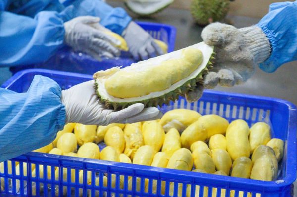 Xuất khẩu thực phẩm sang Trung Quốc: Giảm một nửa thông tin kê khai