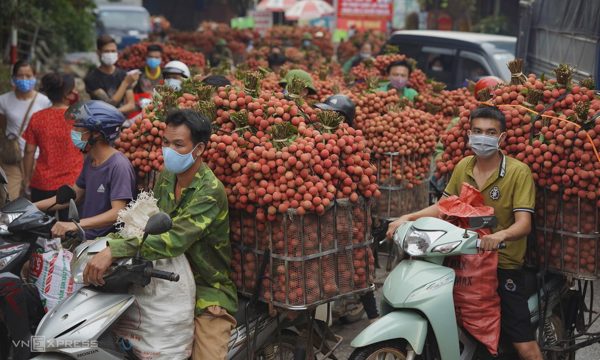Xuất khẩu vải thiều lao dốc