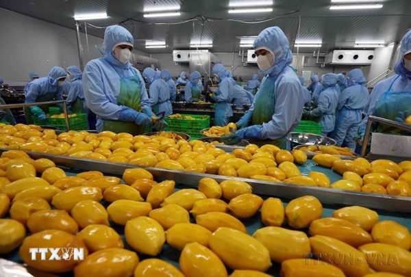 Xuất siêu nông lâm thủy sản đạt 14,25 tỷ USD trong 8 tháng