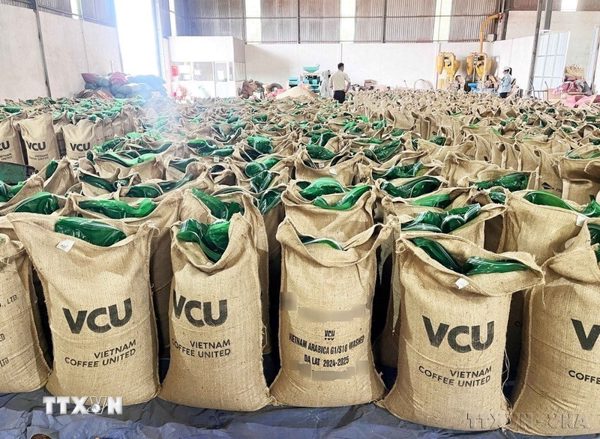 Xung lực mới cho hợp tác thương mại giữa Việt Nam và Liên bang Nga